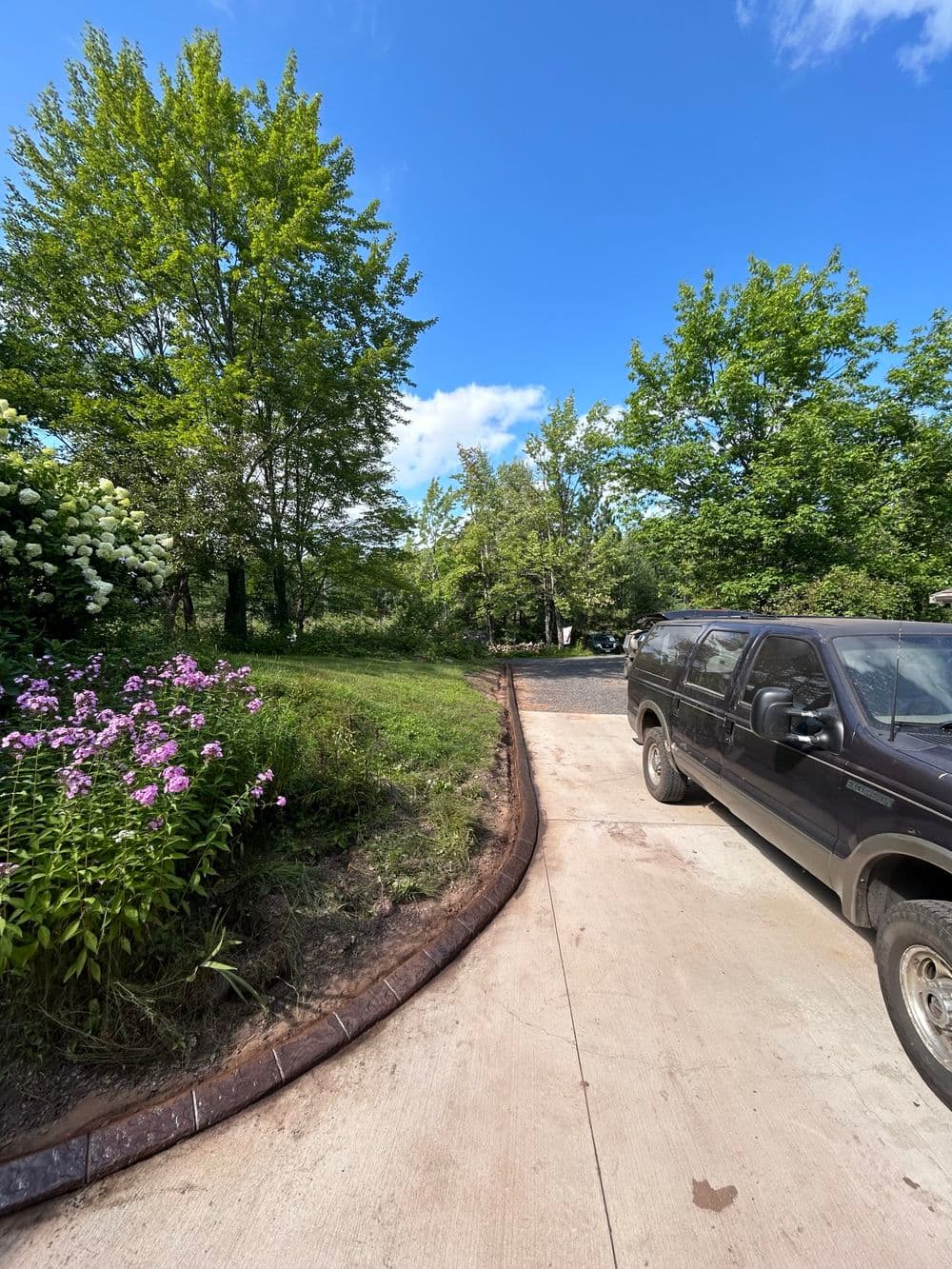 Black SUV parked on a paved driveway surrounded by greenery and blooming flowers.