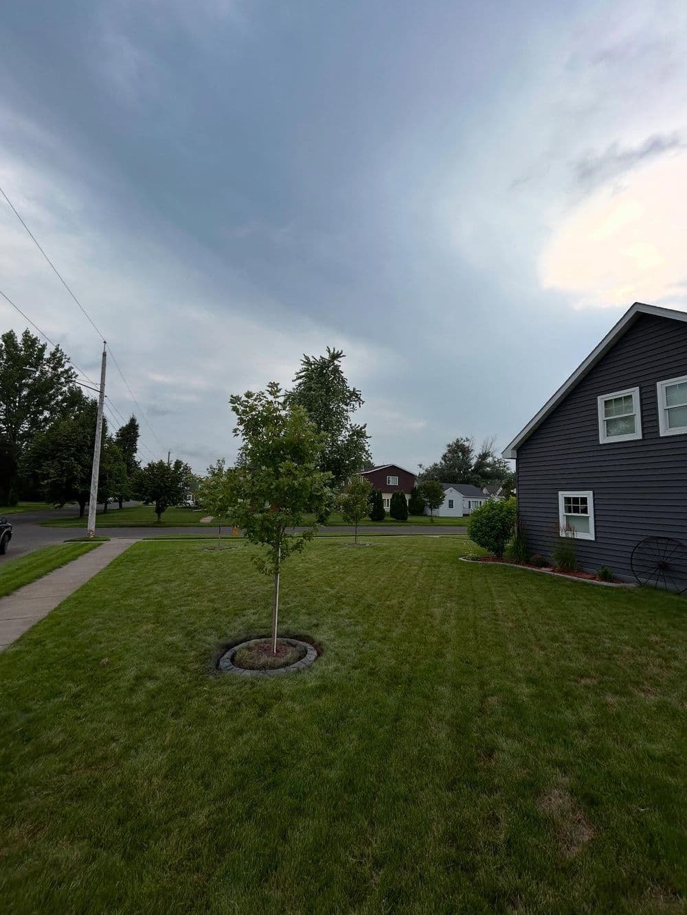 Gallery photos for Clean 2-Foot Tree Rings That Make Your Yard Stand Out: Image #7