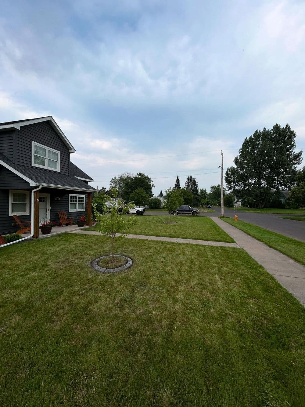 Clean 2-Foot Tree Rings That Make Your Yard Stand Out