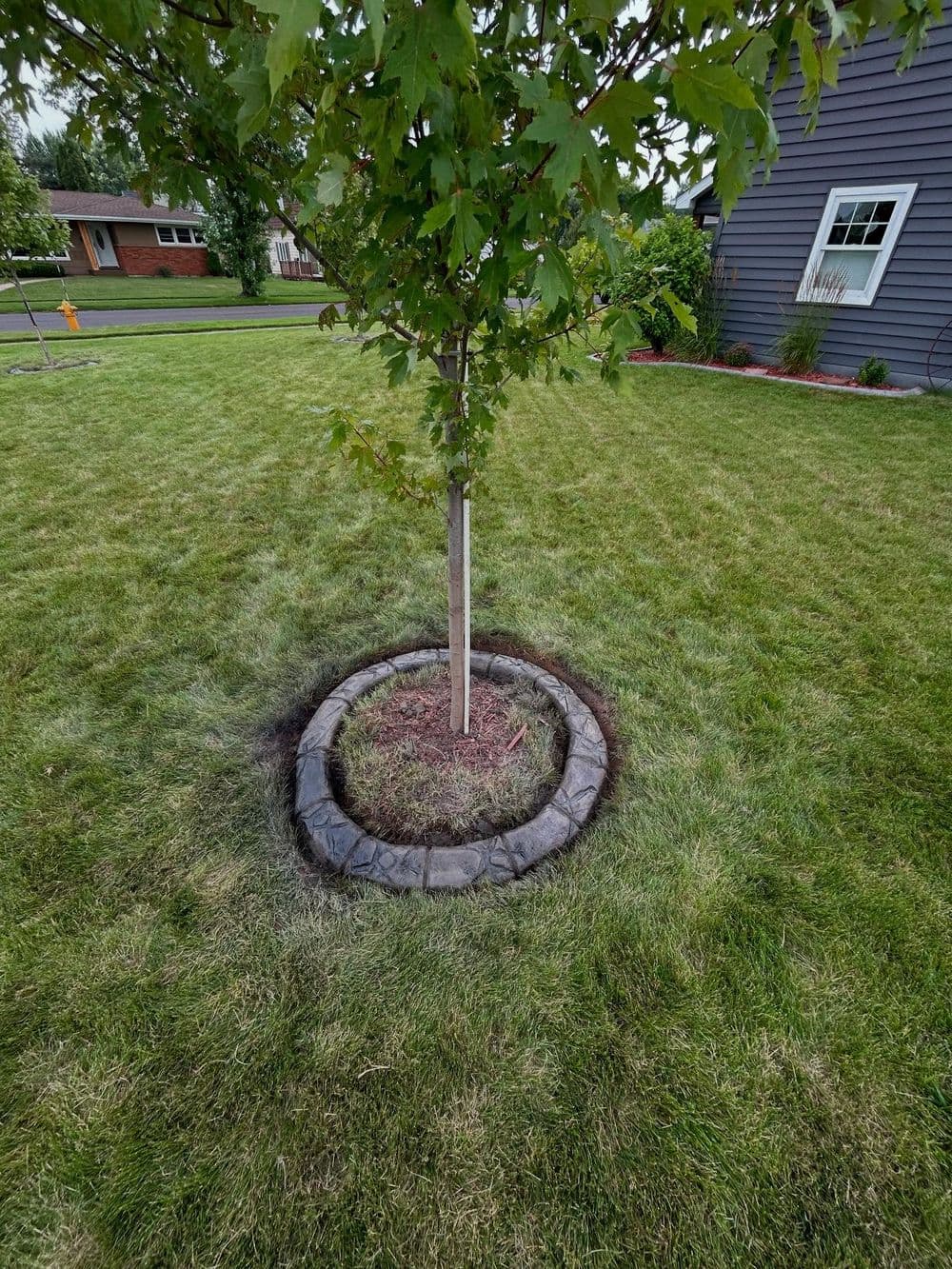 Gallery photos for Clean 2-Foot Tree Rings That Make Your Yard Stand Out: Image #3