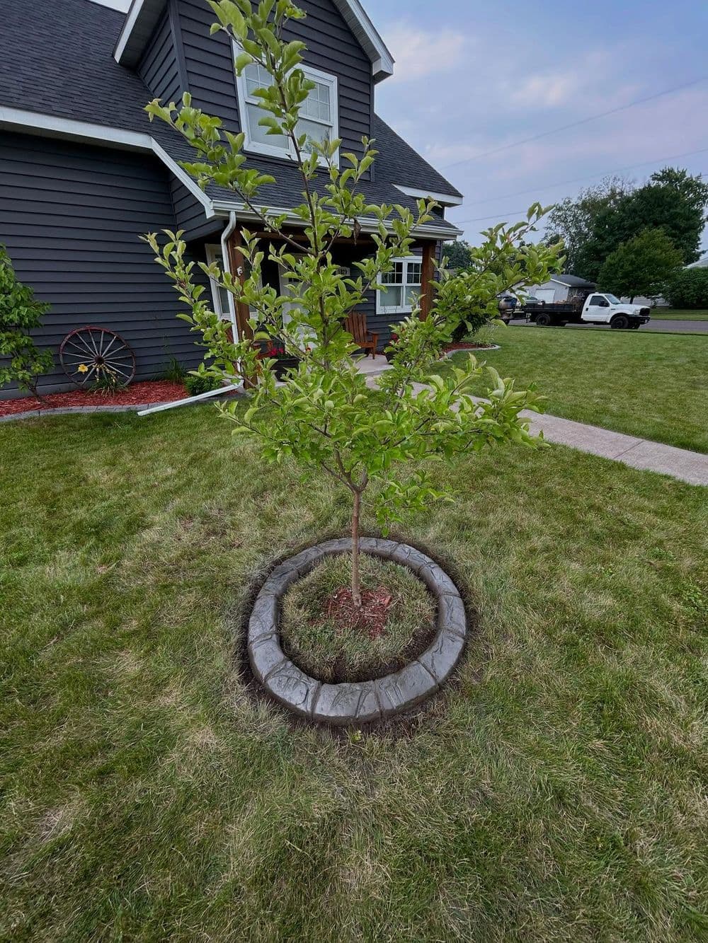 Gallery photos for Clean 2-Foot Tree Rings That Make Your Yard Stand Out: Image #5
