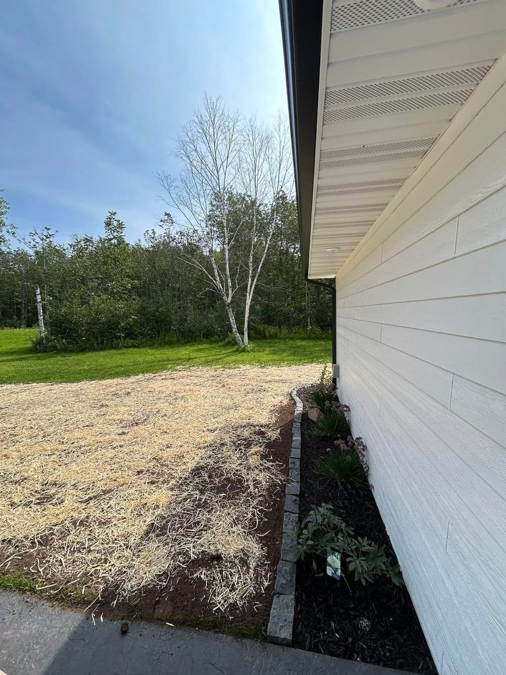 Gallery photos for Full Yard Landscaping with Paver Walkway and Plant Beds: Image #2