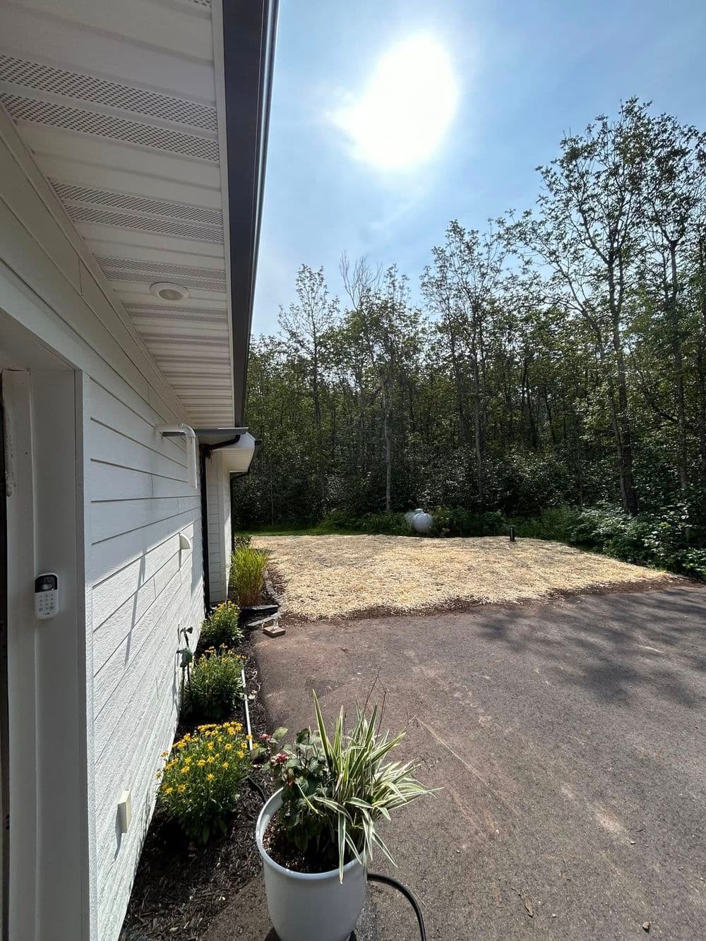 Full Yard Landscaping with Paver Walkway and Plant Beds