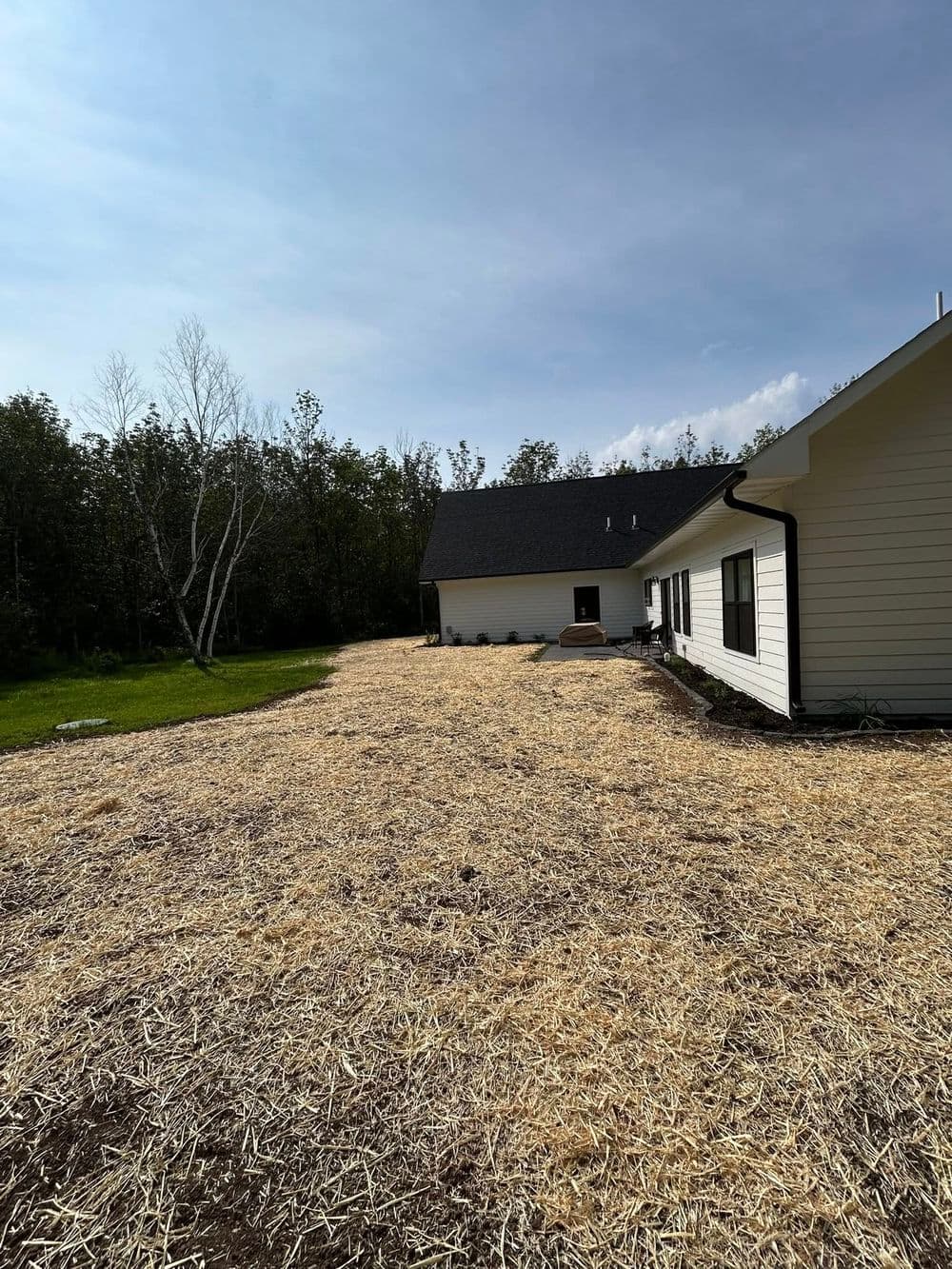 Project Full Yard Landscaping with Paver Walkway and Plant Beds image