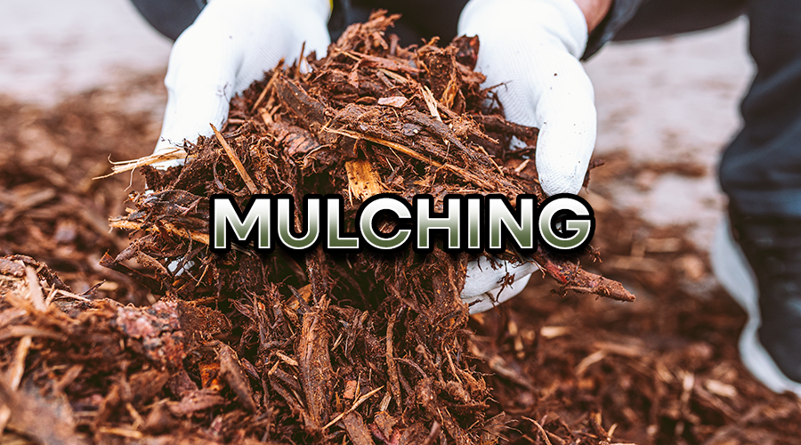 Mulching